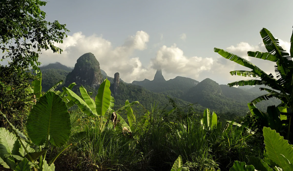 View of Príncipe’s volcanic peaks from a jungle path, visible through broad green leaves.