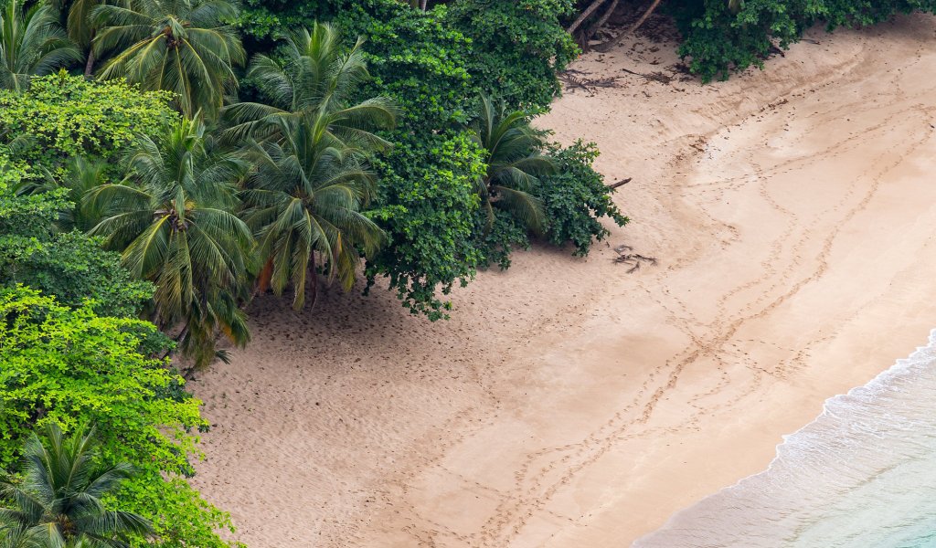 Aerial view of Praia Banana near Hotel Belo Monte, two guests in turquoise shallows for a calm swim