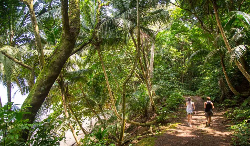 Hiker on a trail walking through a lush jungle toward Praia Margarida