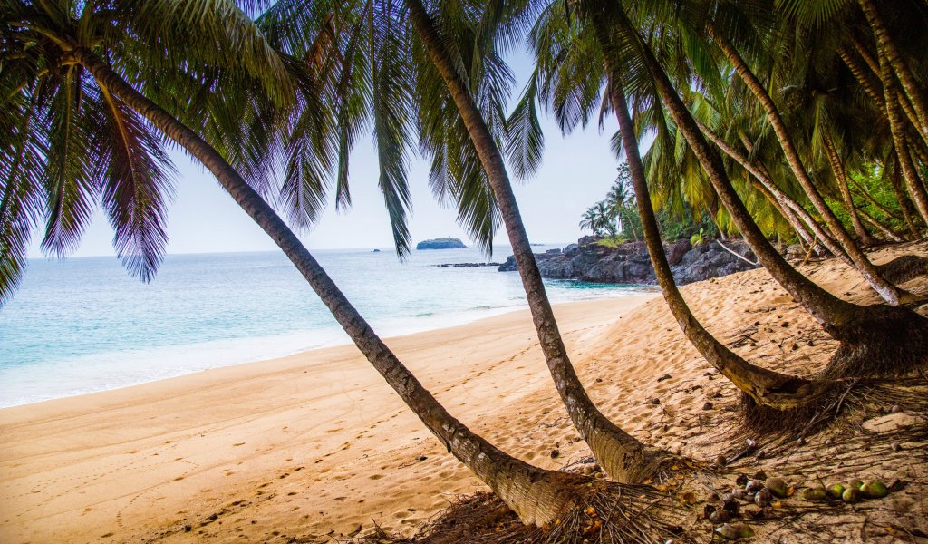 Palm-fringed Praia Boi beach on Príncipe Island, golden sand and calm sea for a quiet swim