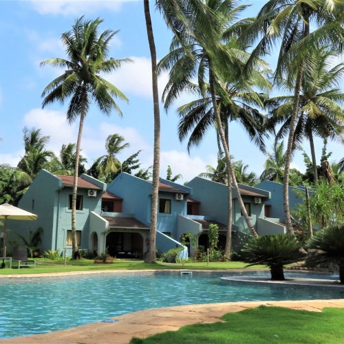 Swimming pool and shady tables at Omali, surrounded by palm trees and lush greenery.