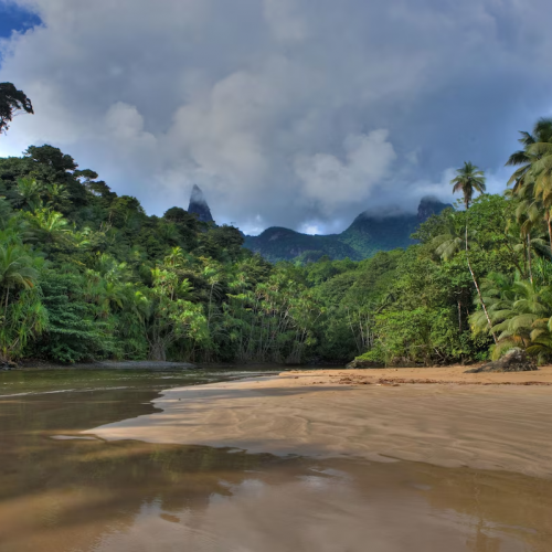 Wild beach backed by jungle, pristine sand and a calm river mouth.