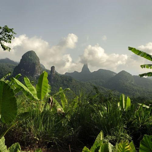 Vista dos picos vulcânicos do Príncipe a partir de um trilho na selva.