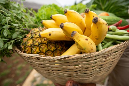 Basket with fresh pineapples and bananas on Príncipe Island.
