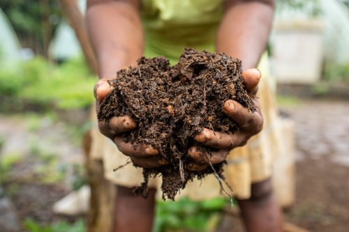 Two hands holding fresh soil on Príncipe Island.