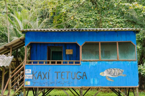 Cabana azul sobre estacas com uma tartaruga pintada, diante da selva na Ilha do Príncipe.