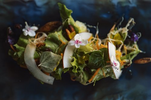 Salada delicada com flocos de coco, flores, cenouras e alface verde sobre fundo azul escuro.