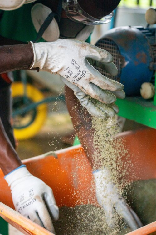 Worker's hand presses machine, turning glass into glass sand on Príncipe Island.