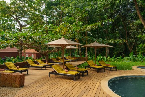 Sun loungers and parasols on the wooden pool deck at Belo Monte, surrounded by tropical greenery