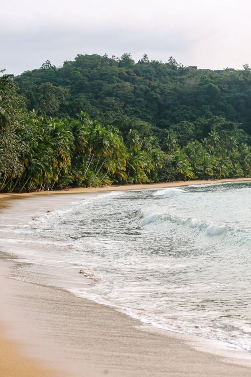 Ondas quebrando no Bom Bom Beach Resort com vegetação exuberante ao fundo.