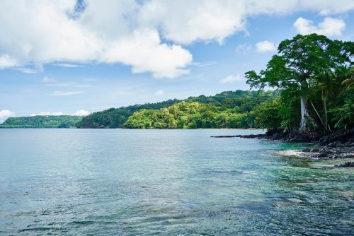 Turquoise water with lush greenery at Bom Bom Beach.