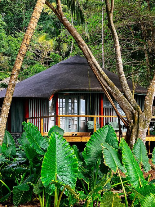 Um bangalô cercado por vegetação exuberante no Bom Bom Beach Resort.