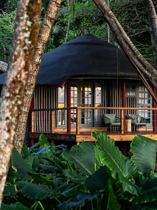 A bungalow surrounded by lush greenery at Bom Bom Beach Resort.