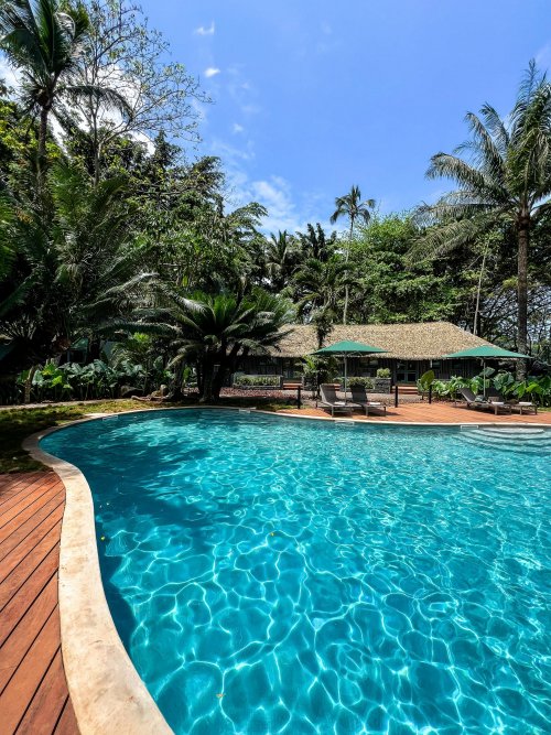 Piscina rodeada por vegetação exuberante no Bom Bom Beach Resort.
