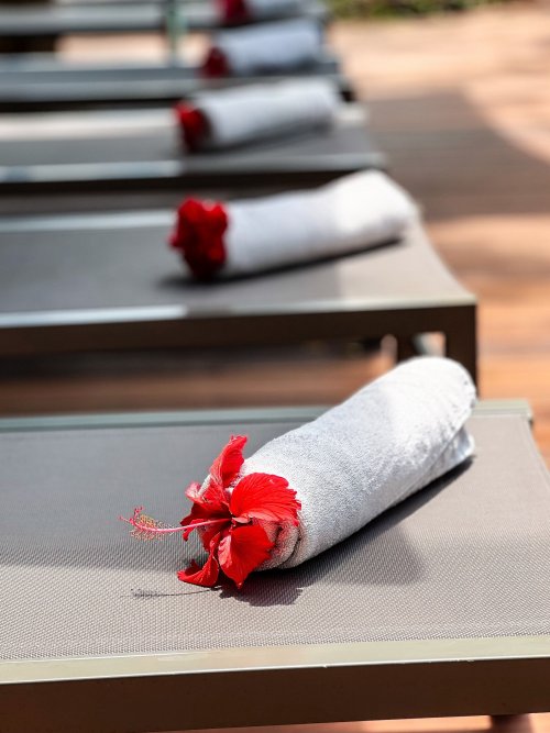Poolside loungers with towels and hibiscus flowers at Bom Bom Beach Resort.