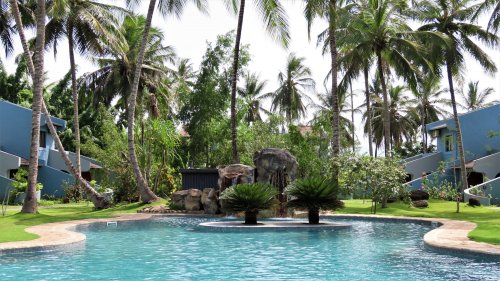 Swimming pool and shady tables at Omali, surrounded by palm trees and lush greenery.