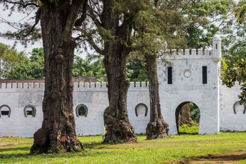 Ruínas de um antigo edifício de pedra rodeado por vegetação exuberante