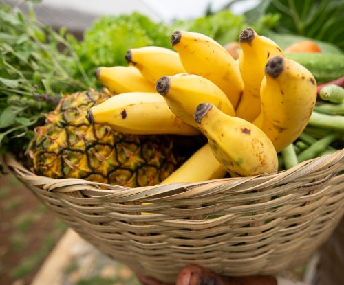 Cesto com ananases e bananas frescos na Ilha do Príncipe.