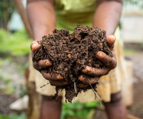 Two hands holding fresh soil on Príncipe Island.