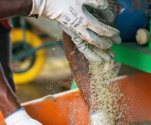 Worker's hand presses machine, turning glass into glass sand on Príncipe Island.