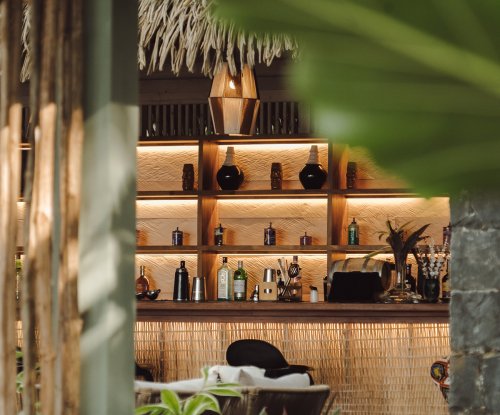 Bar iluminado em tons quentes enquadrado por uma grande folha tropical no Bom Bom Beach Club