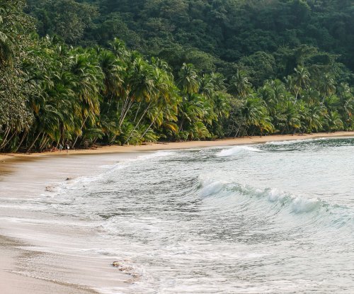 Ondas quebrando no Bom Bom Beach Resort com vegetação exuberante ao fundo.