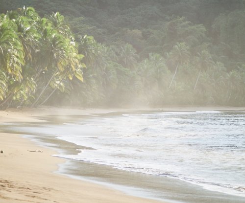 Crashing waves at Bom Bom Beach