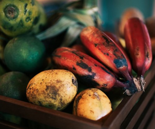 Fruit basket with fresh mangos and red bananas at the restaurant at Bom Bom Beach Resort.