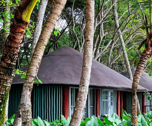 A bungalow surrounded by lush greenery at Bom Bom Beach Resort.