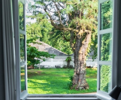 Vista de uma suite na Roça Sundy com janela aberta e vegetação exuberante