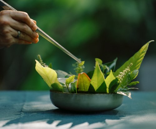 Fine dining dish presented on a table at OKA Sundy restaurant