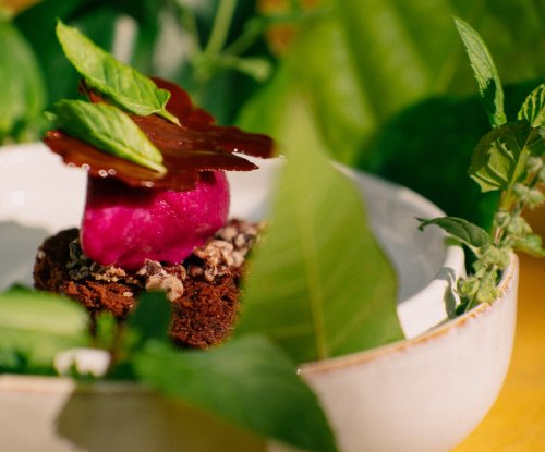Dessert with pink sorbet, chocolate garnish, and herbs in a white bowl at OKA Sundy restaurant