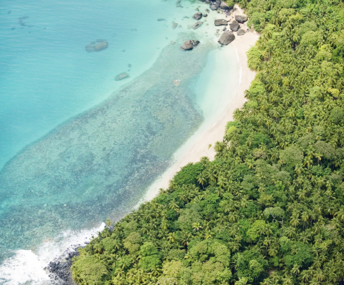 Enseada isolada sob a floresta perto do Belo Monte, lagoa turquesa límpida, recife raso e areia com palmeiras.