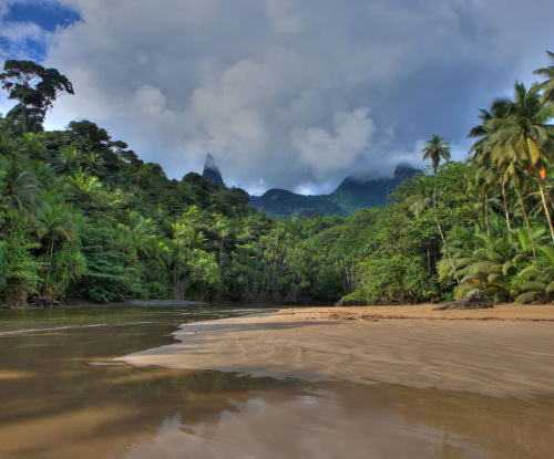 Praia selvagem junto à selva, areia imaculada e foz de rio tranquila.