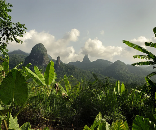 View of Príncipe’s volcanic peaks from a jungle path, visible through broad green leaves.