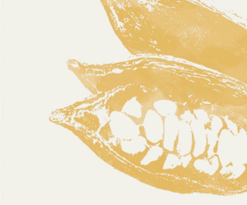 Ilustração artística de uma fruta de cacau aberta e de cor amarelo-escuro da Príncipe Collection Hotels.