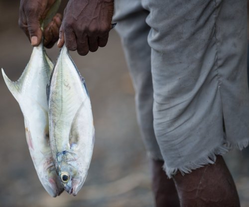 Pescador a segurar peixe fresco acabado de pescar, Ilha do Príncipe