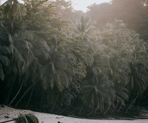 Fisherman beside his boat on a sandy beach at dawn, Príncipe Island