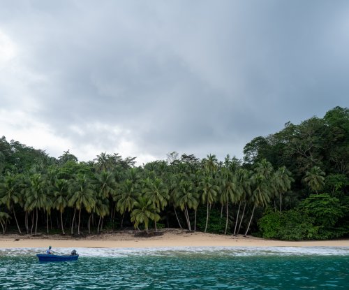 Golden sandy beach lined with palm trees seen from the sea with a blue boat, Príncipe Island