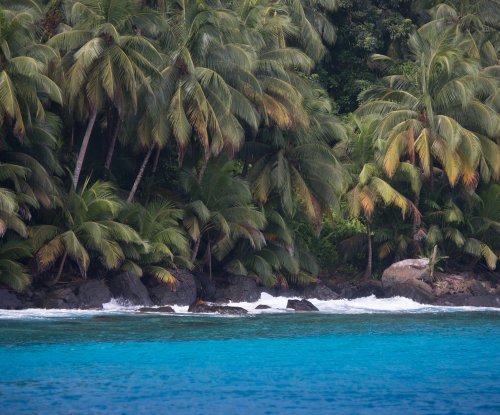 Costa rochosa com palmeiras e ondas a rebentar vista do mar, Ilha do Príncipe