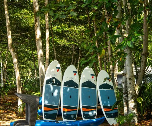 Pranchas de stand-up paddle e caiaque encostadas a árvores em Sundy Praia, Ilha do Príncipe