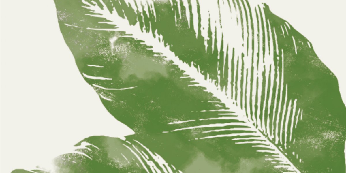 Artistic illustration of a green tropical plant from the Príncipe Collection Hotels.