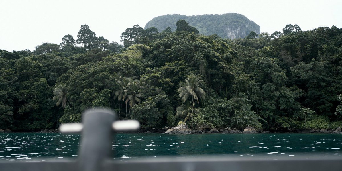 Rainforest-covered coastline with a rocky peak in the background seen from a boat, Príncipe Island