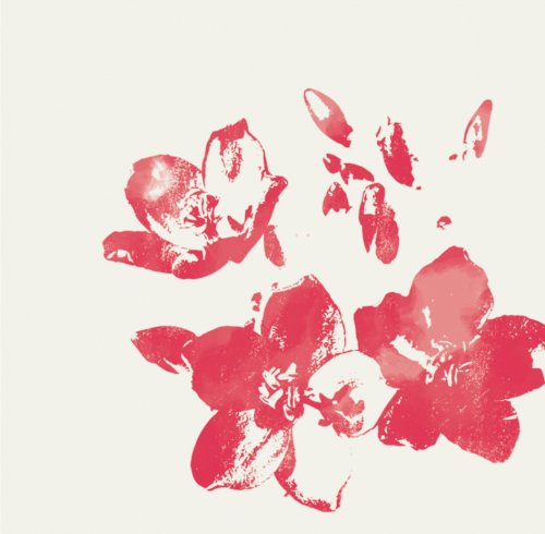 Artistic illustration of tropical flowers in dark red from the Príncipe Collection Hotels.