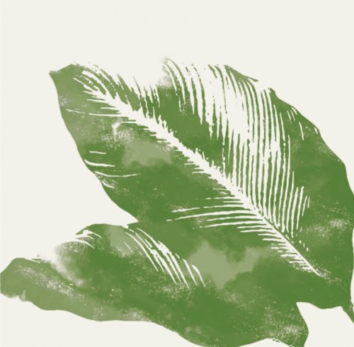 Artistic illustration of a green tropical plant from the Príncipe Collection Hotels.