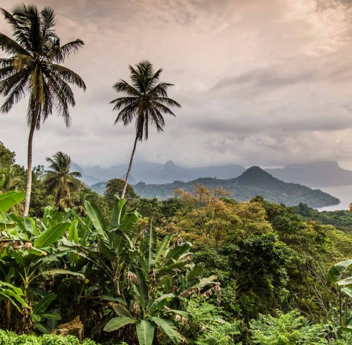 View over São Tomé Island with dense rainforest vegetation, volcanic hills, and the sea in the background.