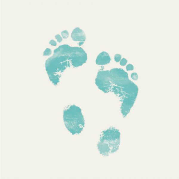 Experience the panoramic views of Belo Monte