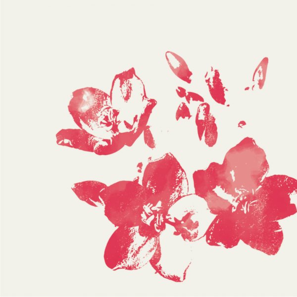 Experience the panoramic views of Belo Monte