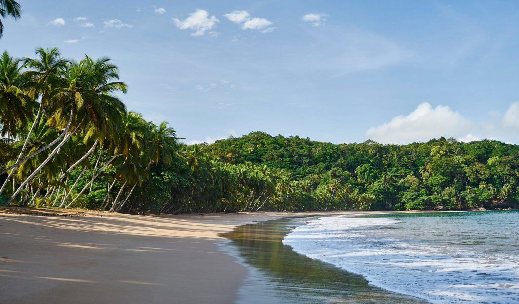 Rocky beach view with lush greenery at Bom Bom Beach Resort.