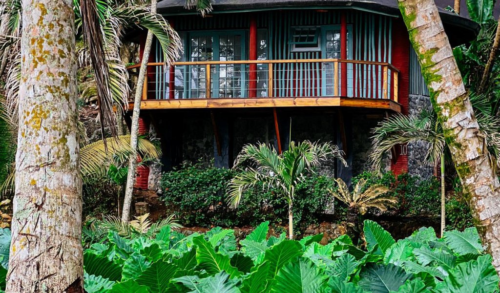 A bungalow surrounded by lush greenery at Bom Bom Beach Resort.